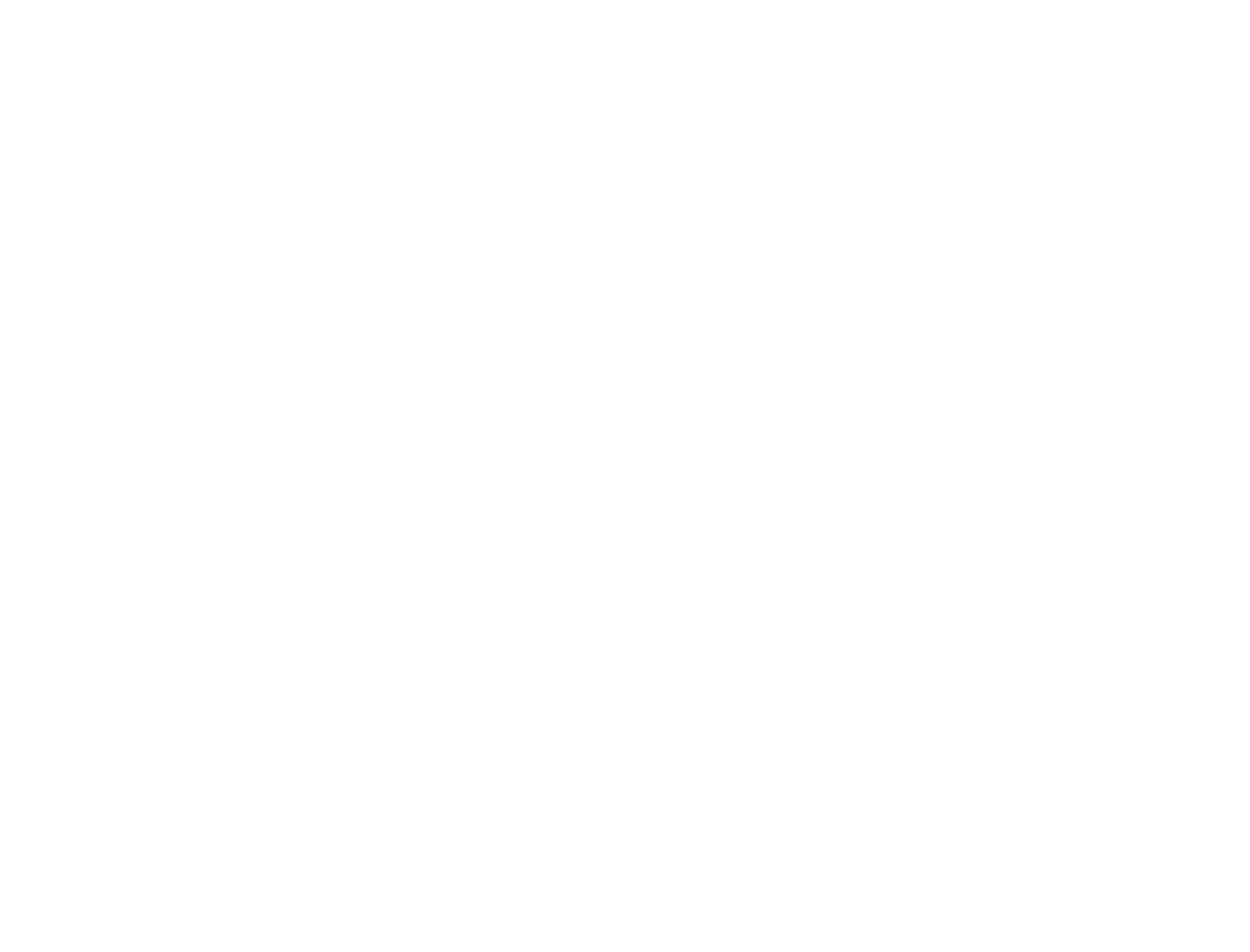 The Stilnovist 